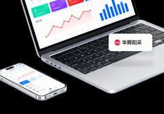 以政策为纲以平台